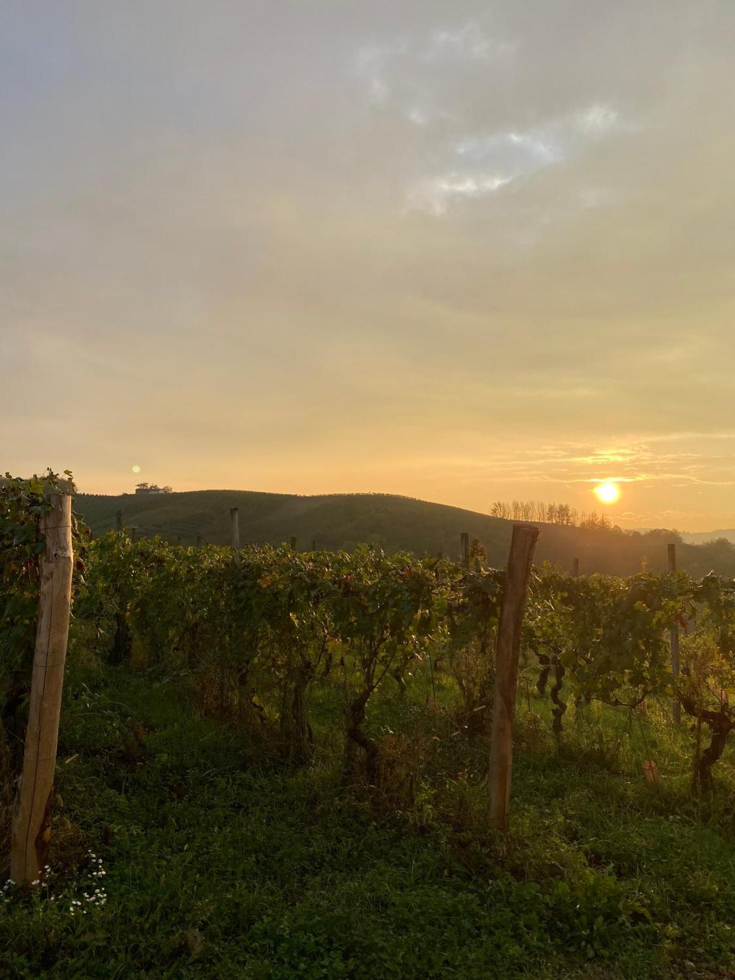 Tenuta Agricola La Cava- Cantina E Agriturismo San Damiano dʼAsti Exteriér fotografie