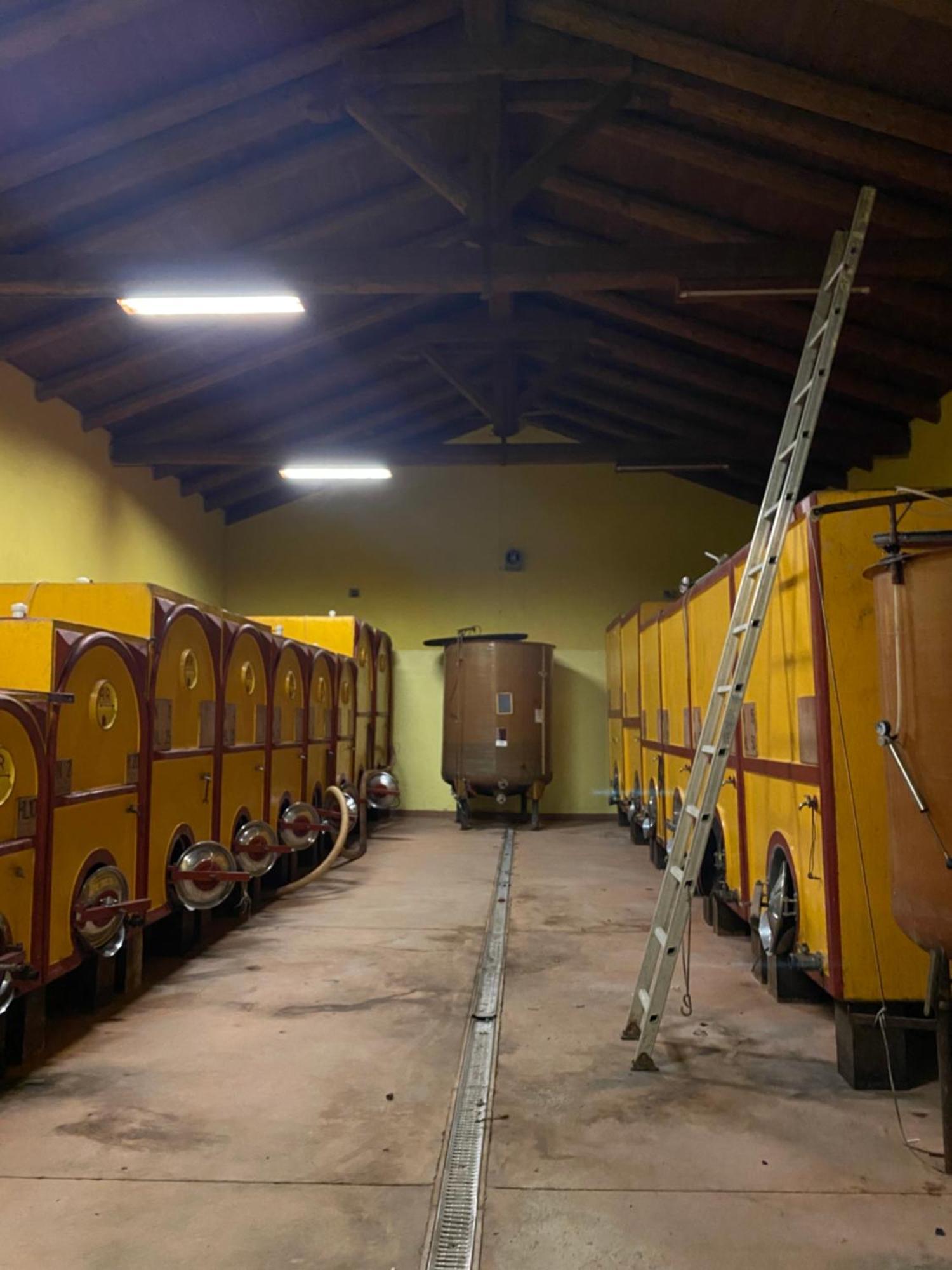 Tenuta Agricola La Cava- Cantina E Agriturismo San Damiano dʼAsti Exteriér fotografie