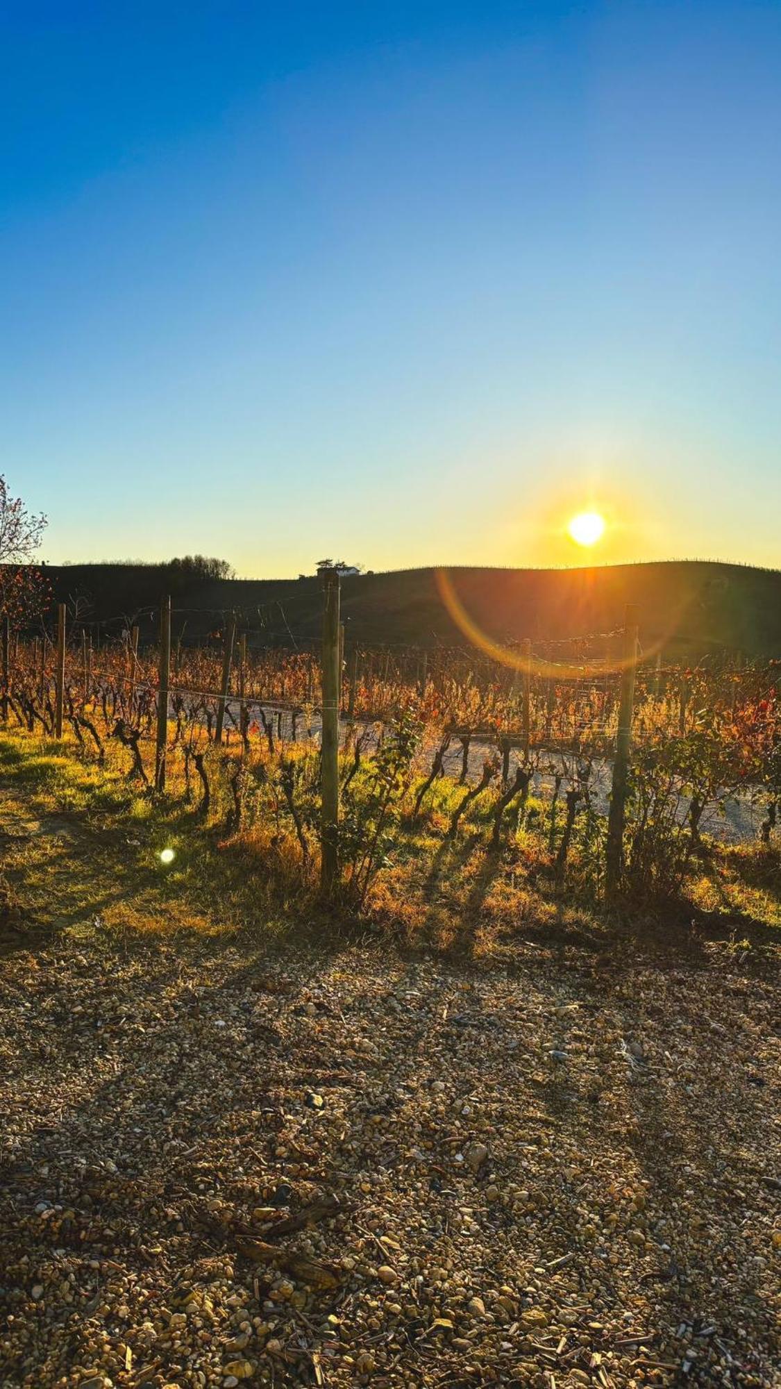 Tenuta Agricola La Cava- Cantina E Agriturismo San Damiano dʼAsti Exteriér fotografie
