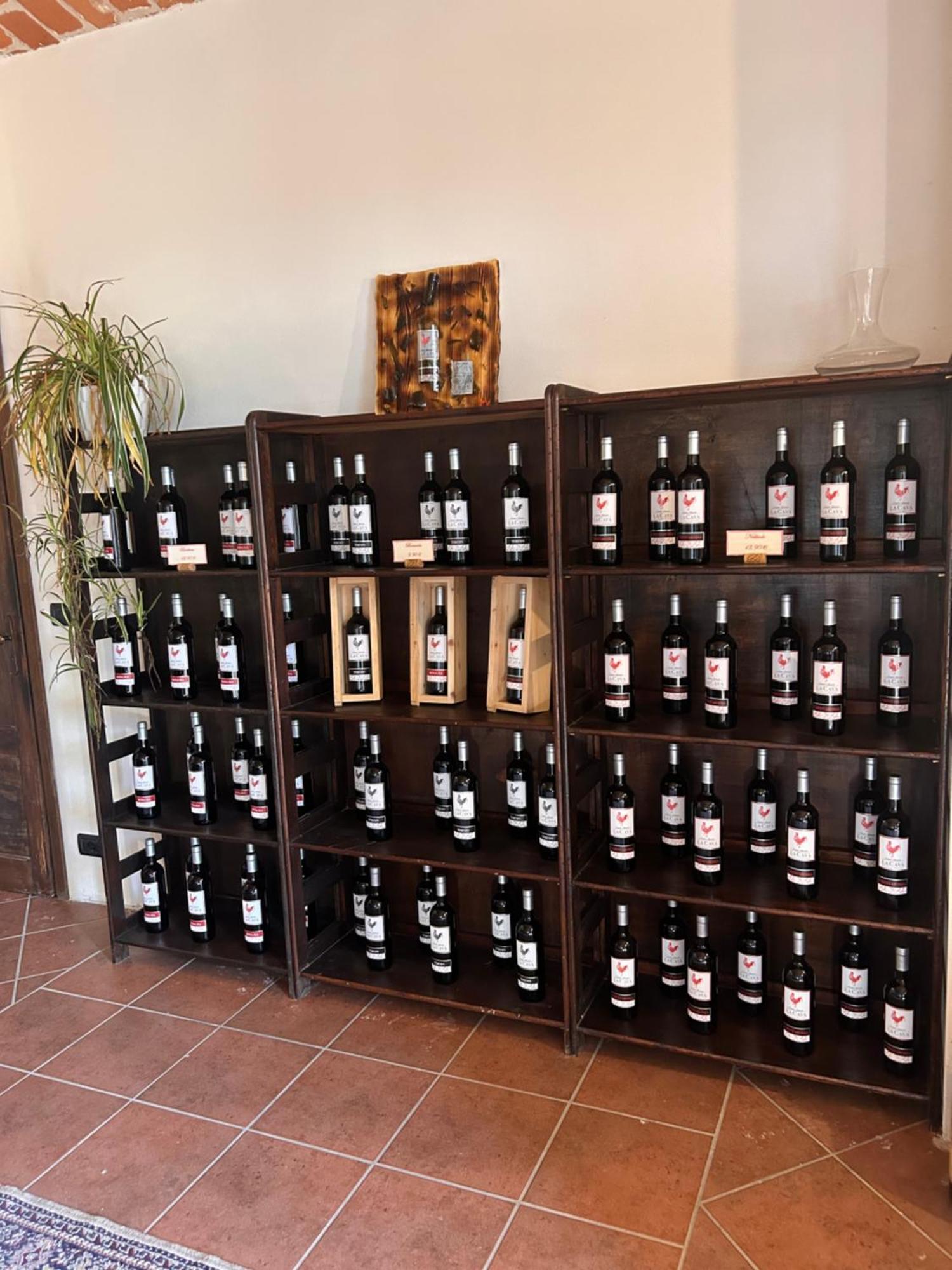 Tenuta Agricola La Cava- Cantina E Agriturismo San Damiano dʼAsti Exteriér fotografie