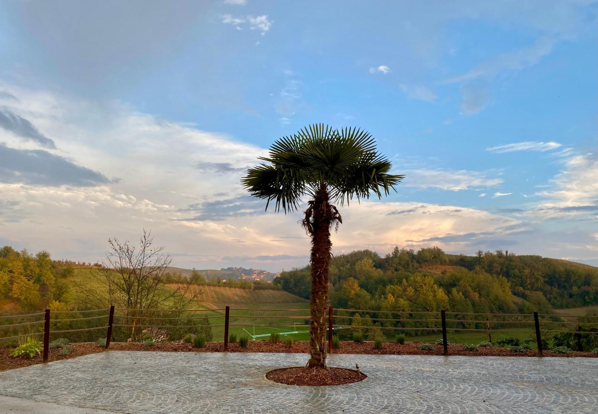 Tenuta Agricola La Cava- Cantina E Agriturismo San Damiano dʼAsti Exteriér fotografie